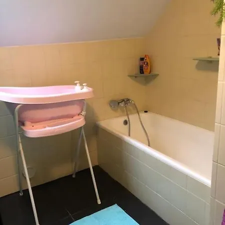 Big Childfriendly Holidayhome In The Eifel Grosslangenfeld