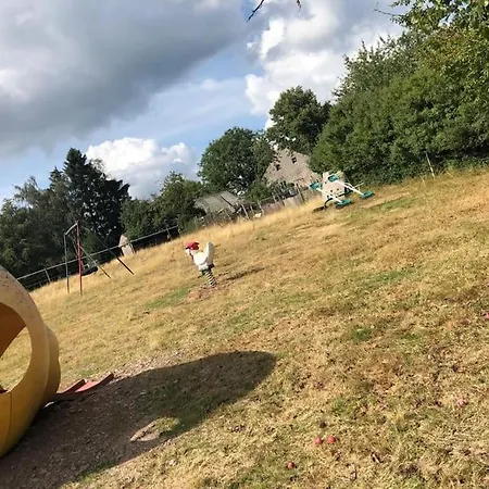 Big Childfriendly Holidayhome In The Eifel 펜션 *