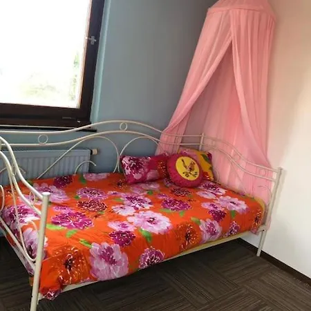 Big Childfriendly Holidayhome In The Eifel