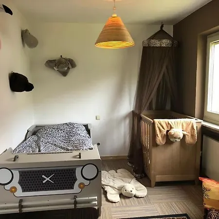 Big Childfriendly Holidayhome In The Eifel Grosslangenfeld