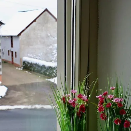 펜션 Big Childfriendly Holidayhome In The Eifel *