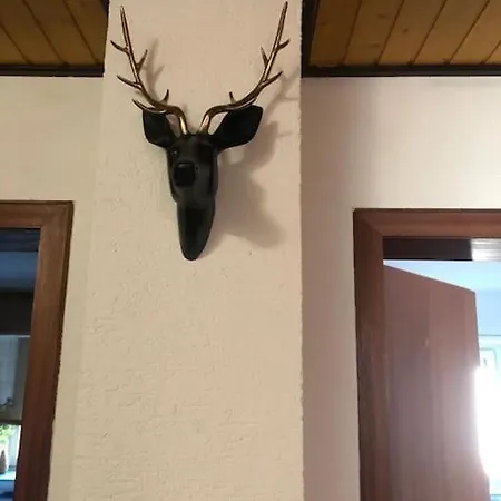 Big Childfriendly Holidayhome In The Eifel 펜션